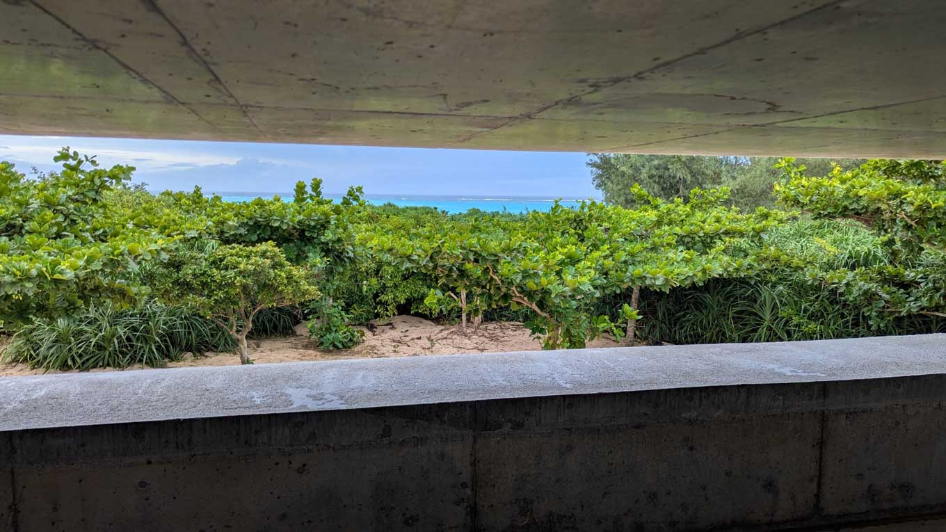 Photo of the view from the facility