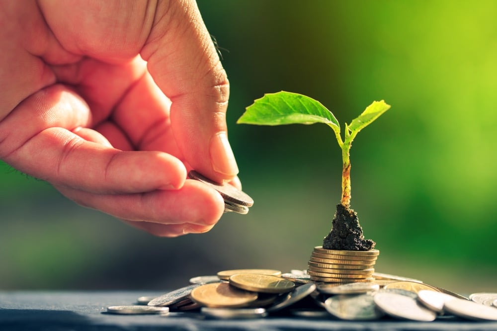 Against a blurred green background, we see a small plant sprouting its first green leaves, growing on a bit of soil atop a pile of gold coins, while a hand is dropping another coin onto the pile, symbolizing sustainable investment and financial investment in the environment.