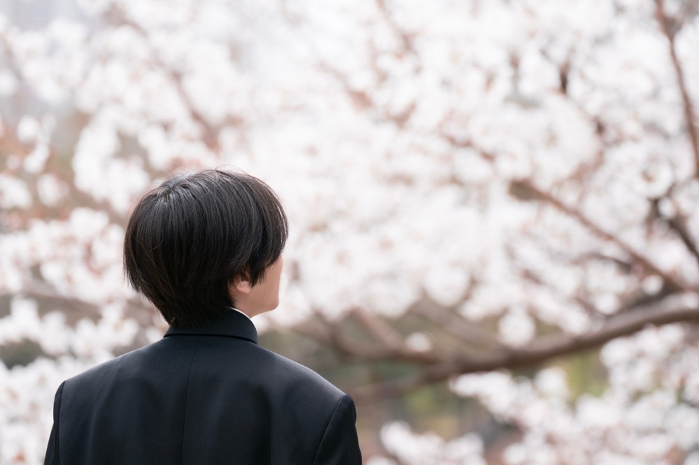 Image: A young person looks at cherry blossom in spring