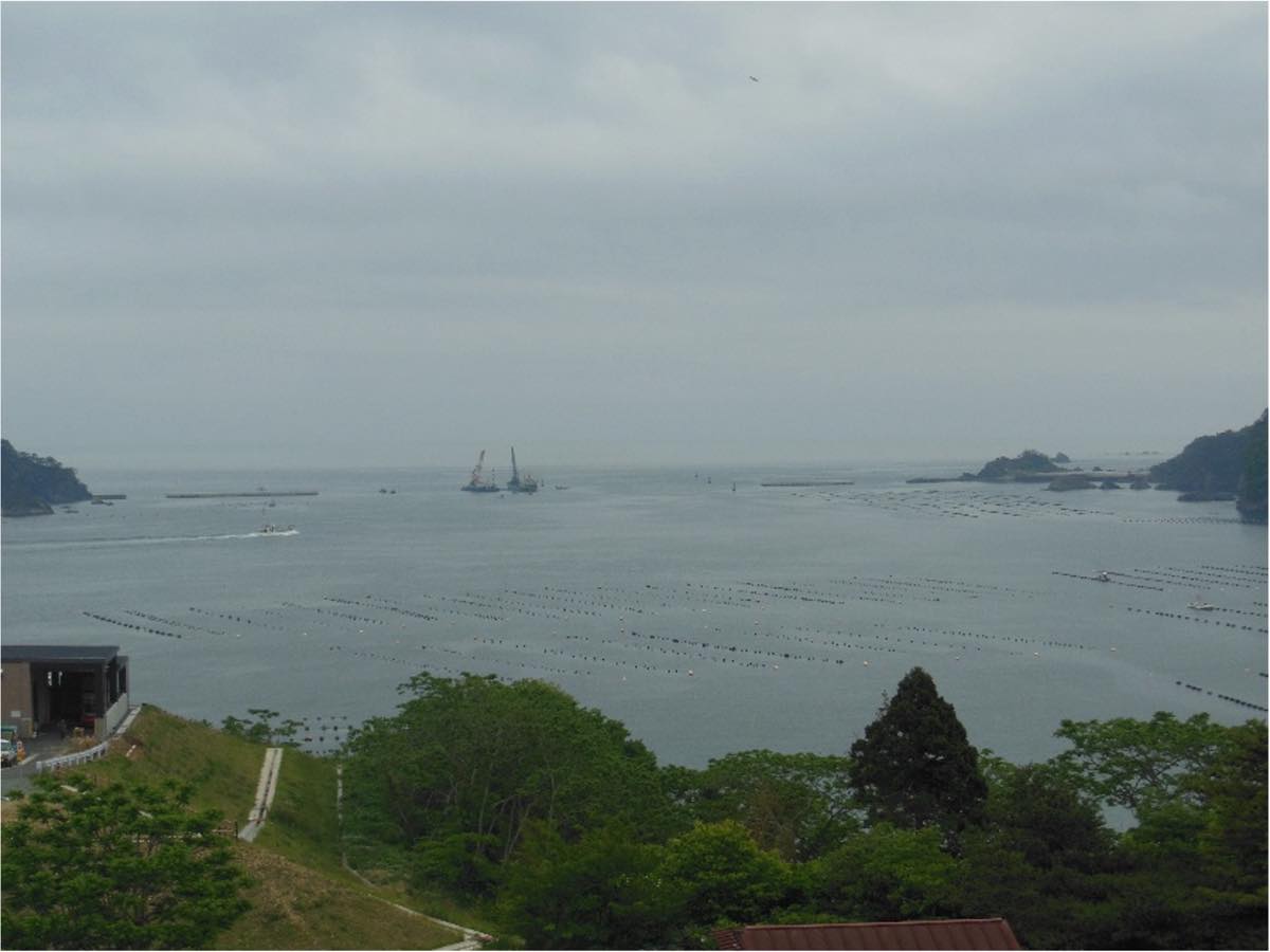 Photo of the ocean on a cloudy day taken from a high elevation