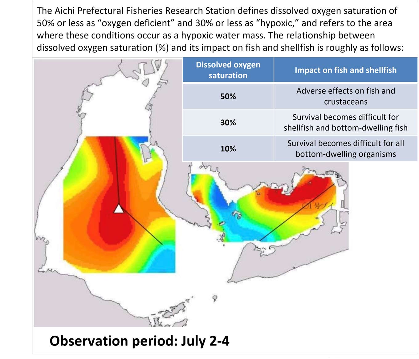A thermal distribution map of dissolved oxygen saturation in Ise Bay and a table summarizing its effects on fish and shellfish. Observation period: July 2–4, 2018