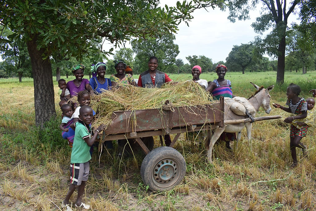 Photo of rural farmers in Africa